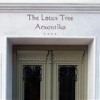 The Lotus Tree Arxontiko